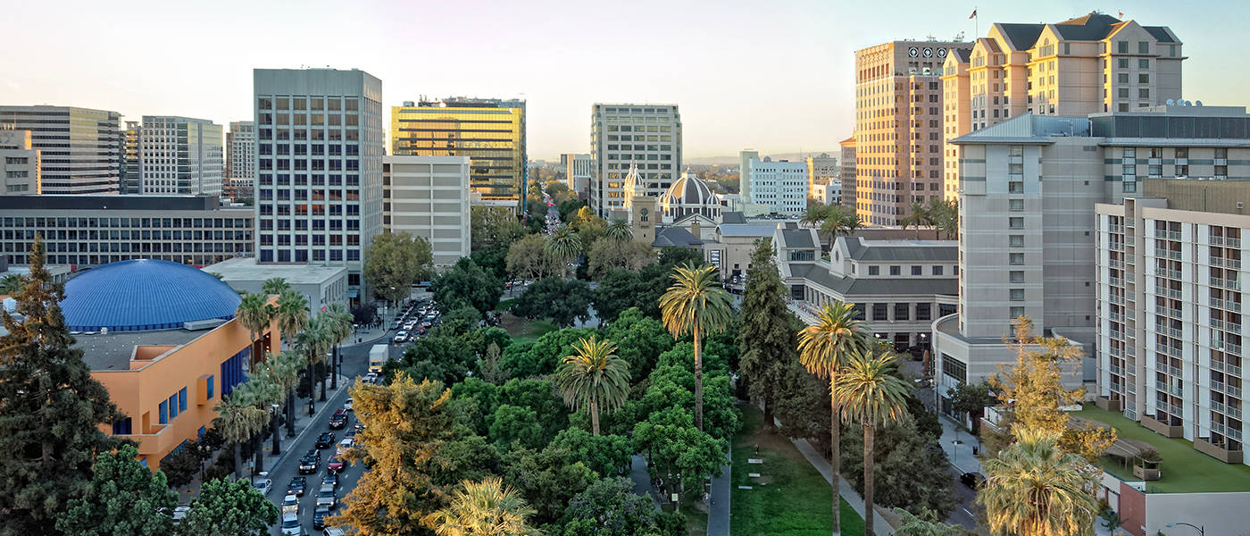 A City With Tall Buildings And Palm Trees Background