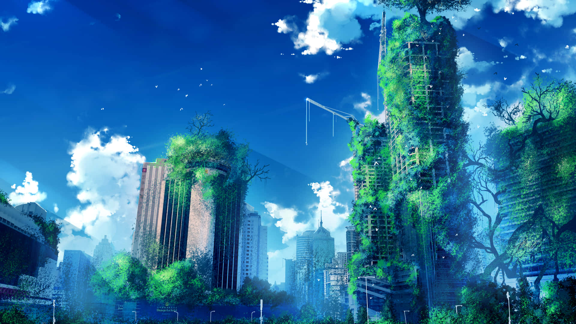 A City With Trees And A Sky Background