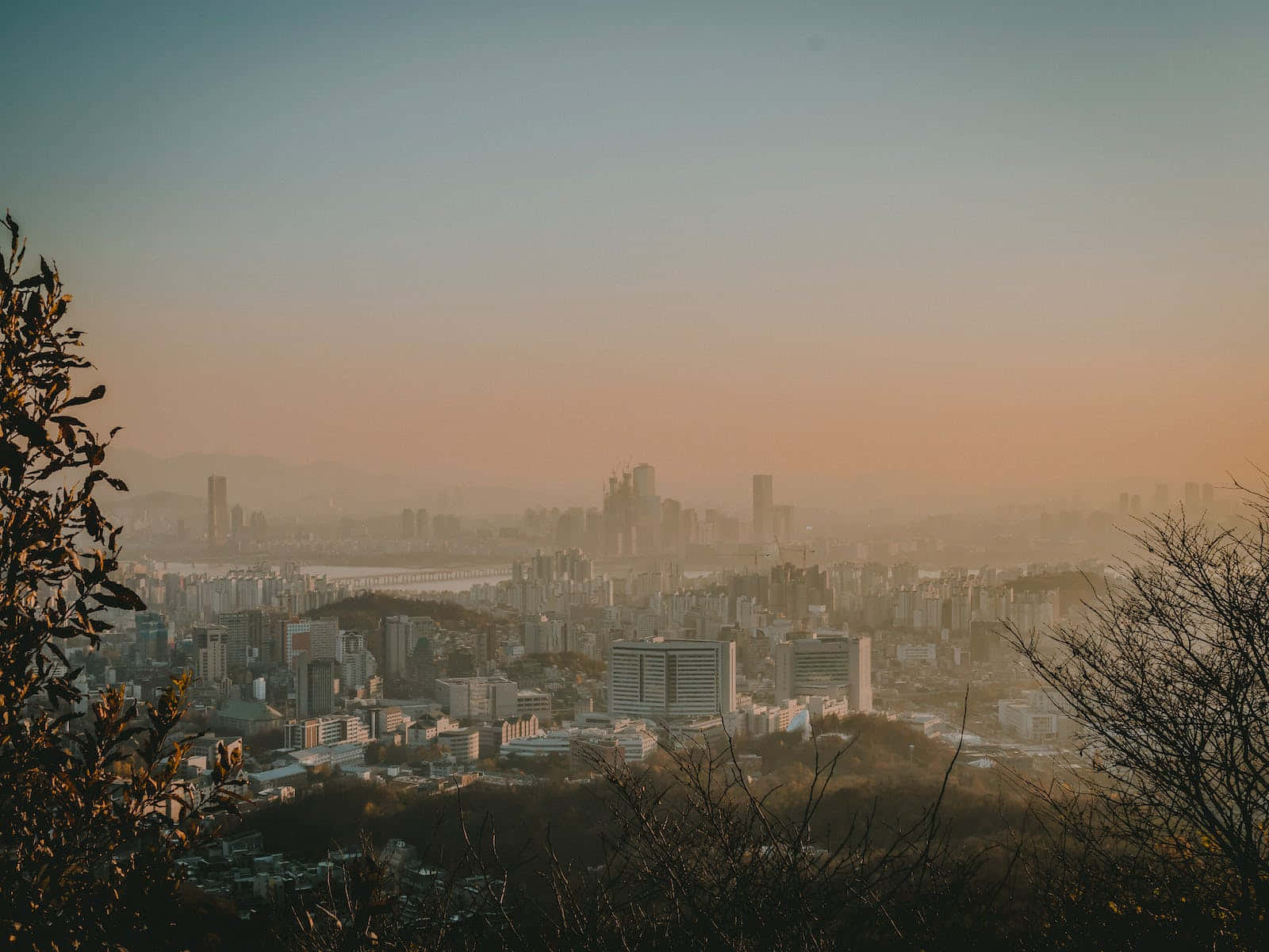 A Cityscape With Trees And A City Background