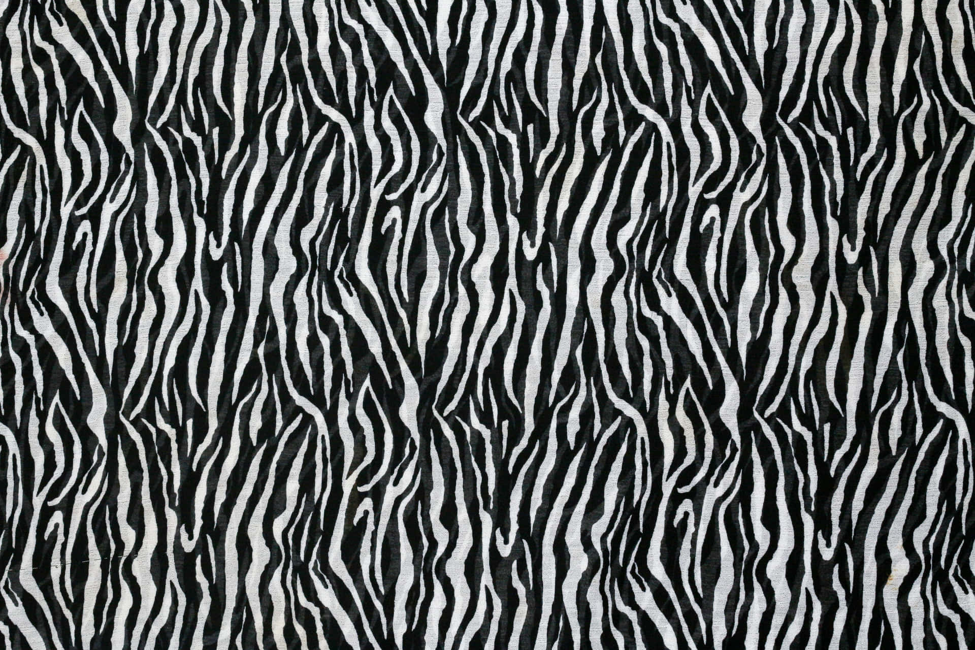 A Classic Black And White Animal Print Pattern Background