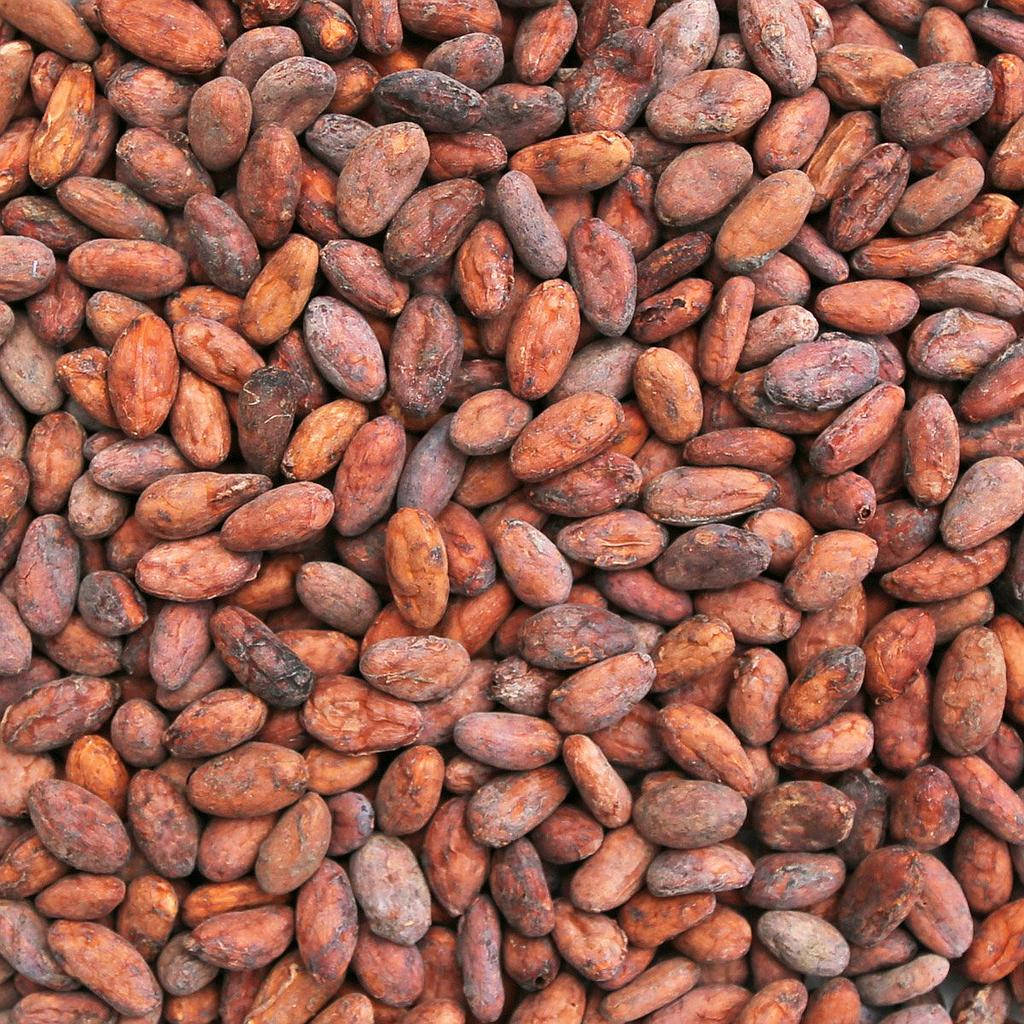 A Close-up Capture Of Raw Cacao Beans Background