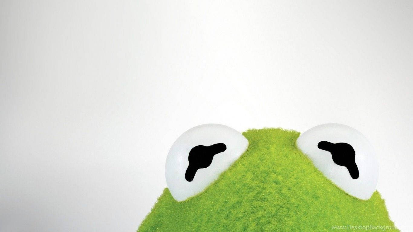 A Close-up Look At Kermit The Frog