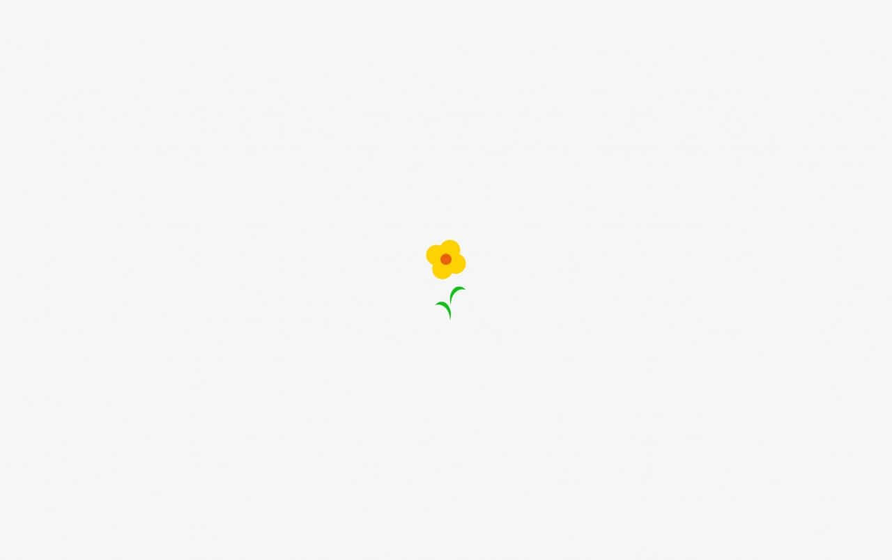 A Close-up Of A Beautiful Minimalist Flower