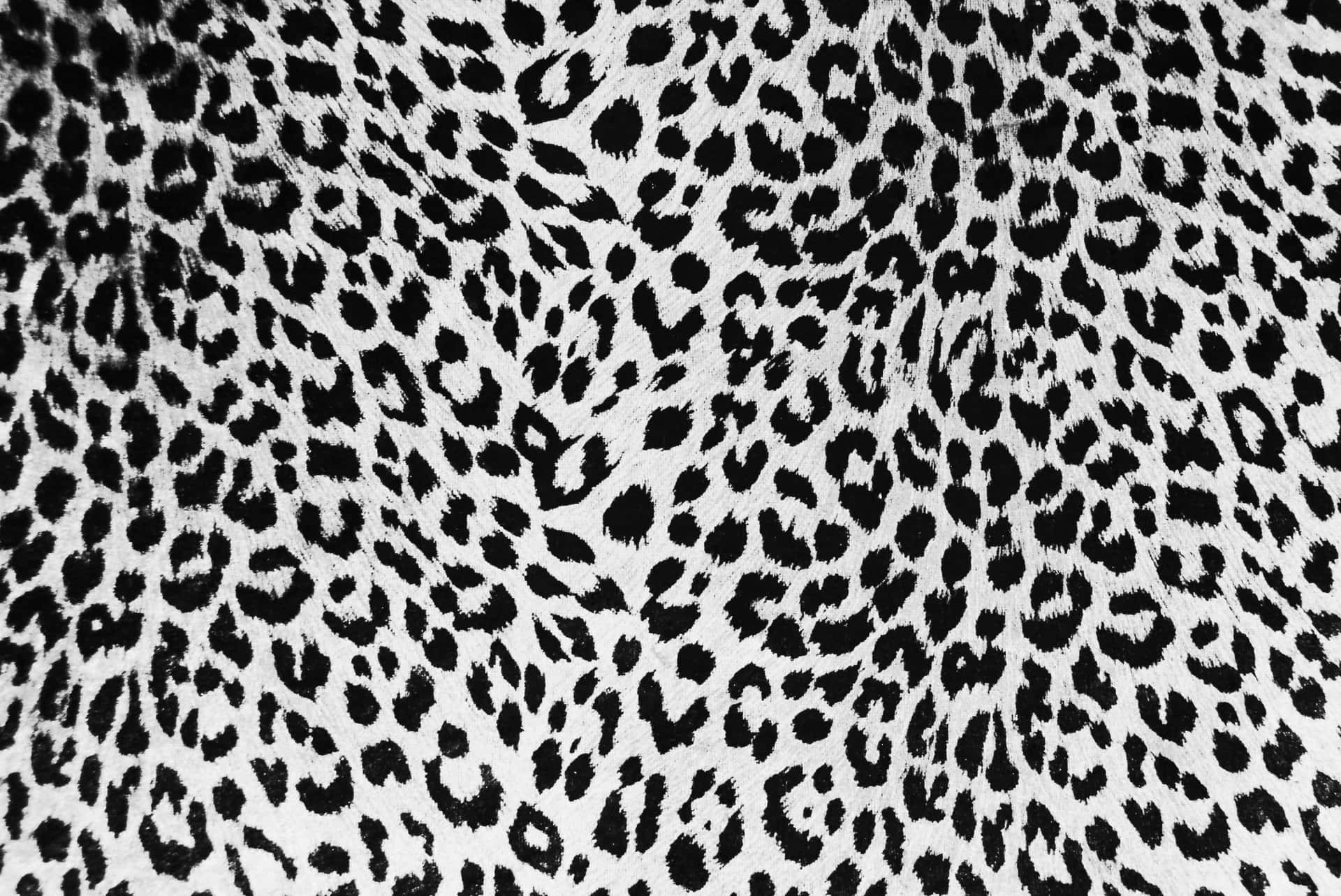 A Close Up Of A Black And White Leopard Print Background