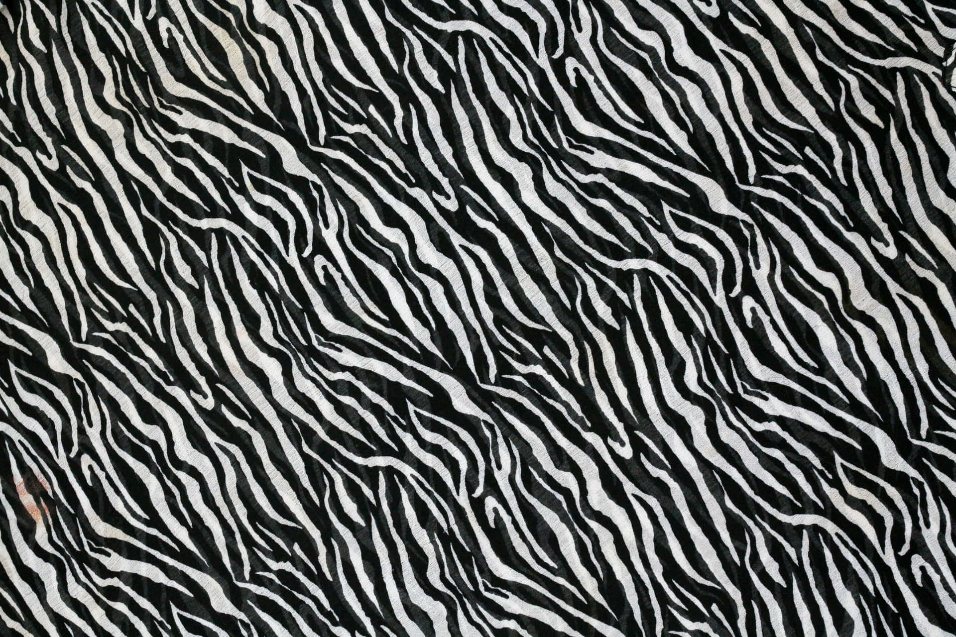 A Close Up Of A Black And White Zebra Print Fabric Background