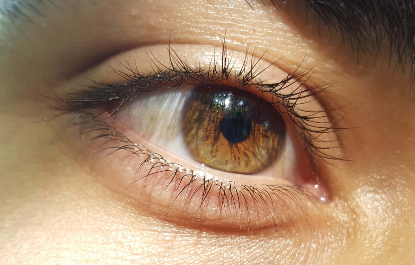 A Close Up Of A Brown Eye Background