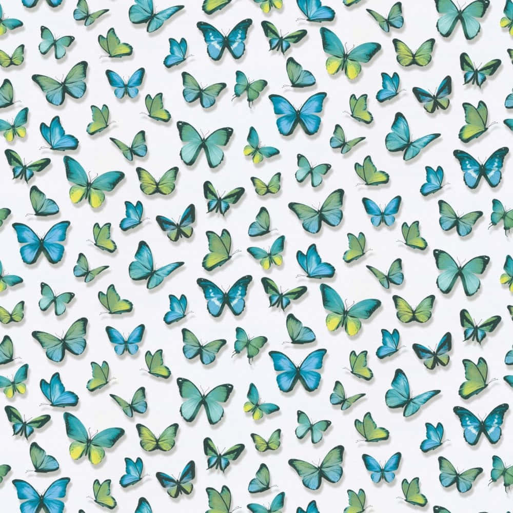 A Close-up Of A Green Butterfly Background