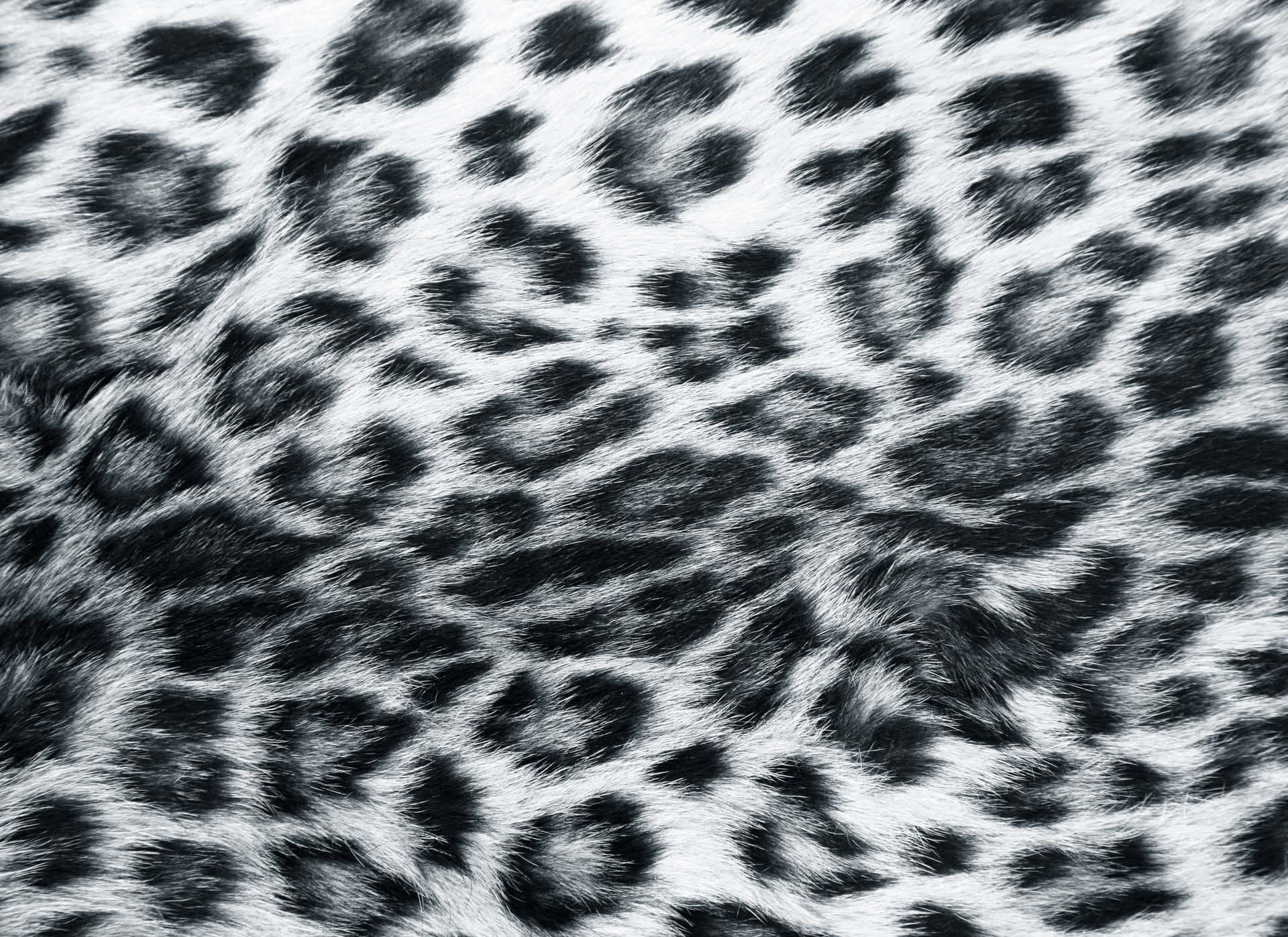 A Close Up Of A Leopard Print Background Background