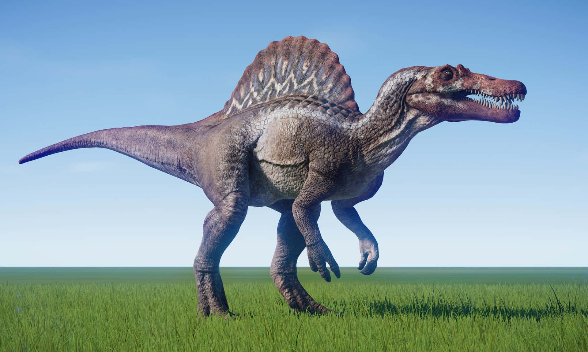 A Close-up Of A Spinosaurus, A Prehistoric Creature That Looked Like A Hybrid Of A Dinosaur And A Crocodile Background