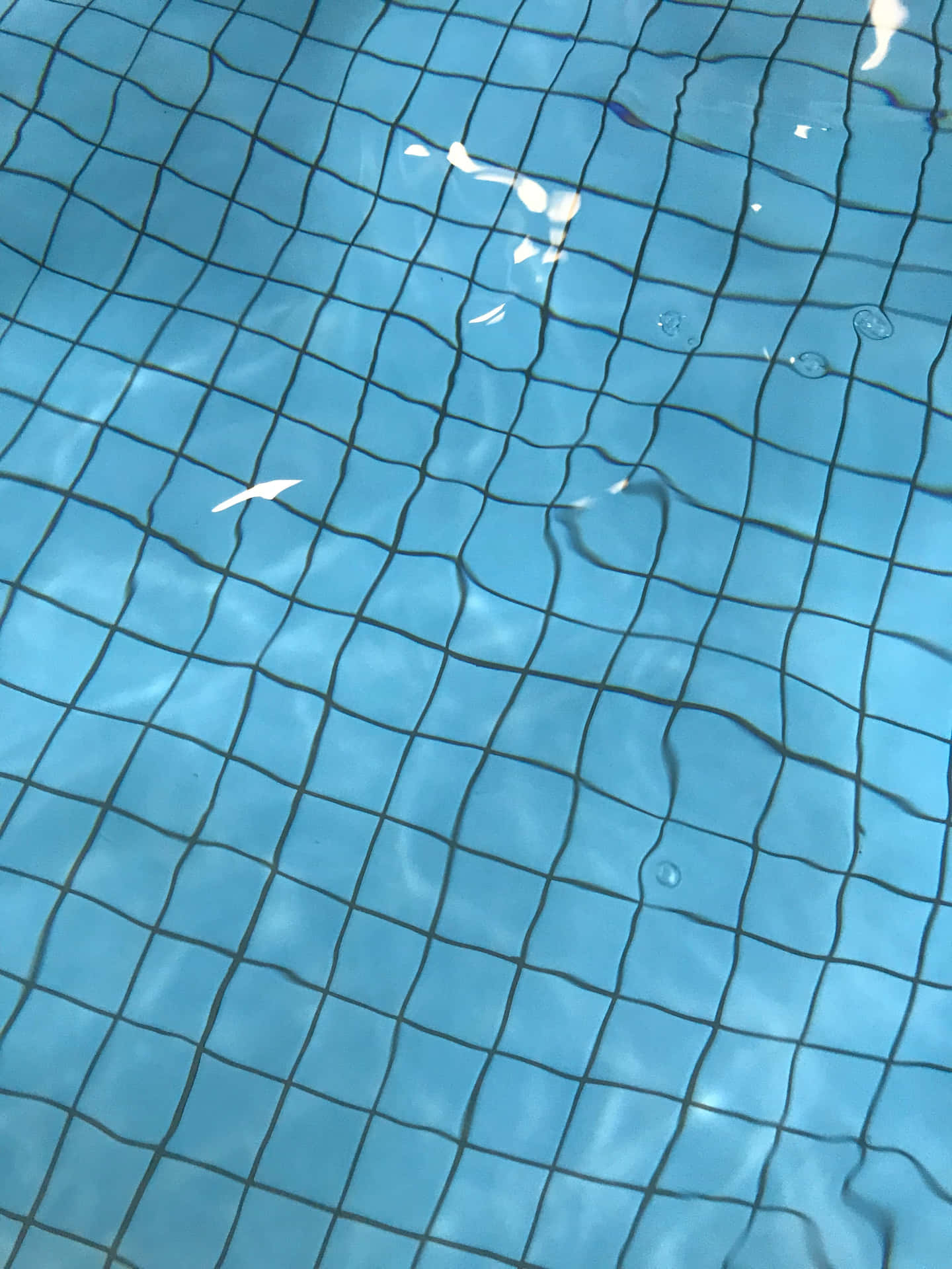 A Close Up Of A Swimming Pool With A Net