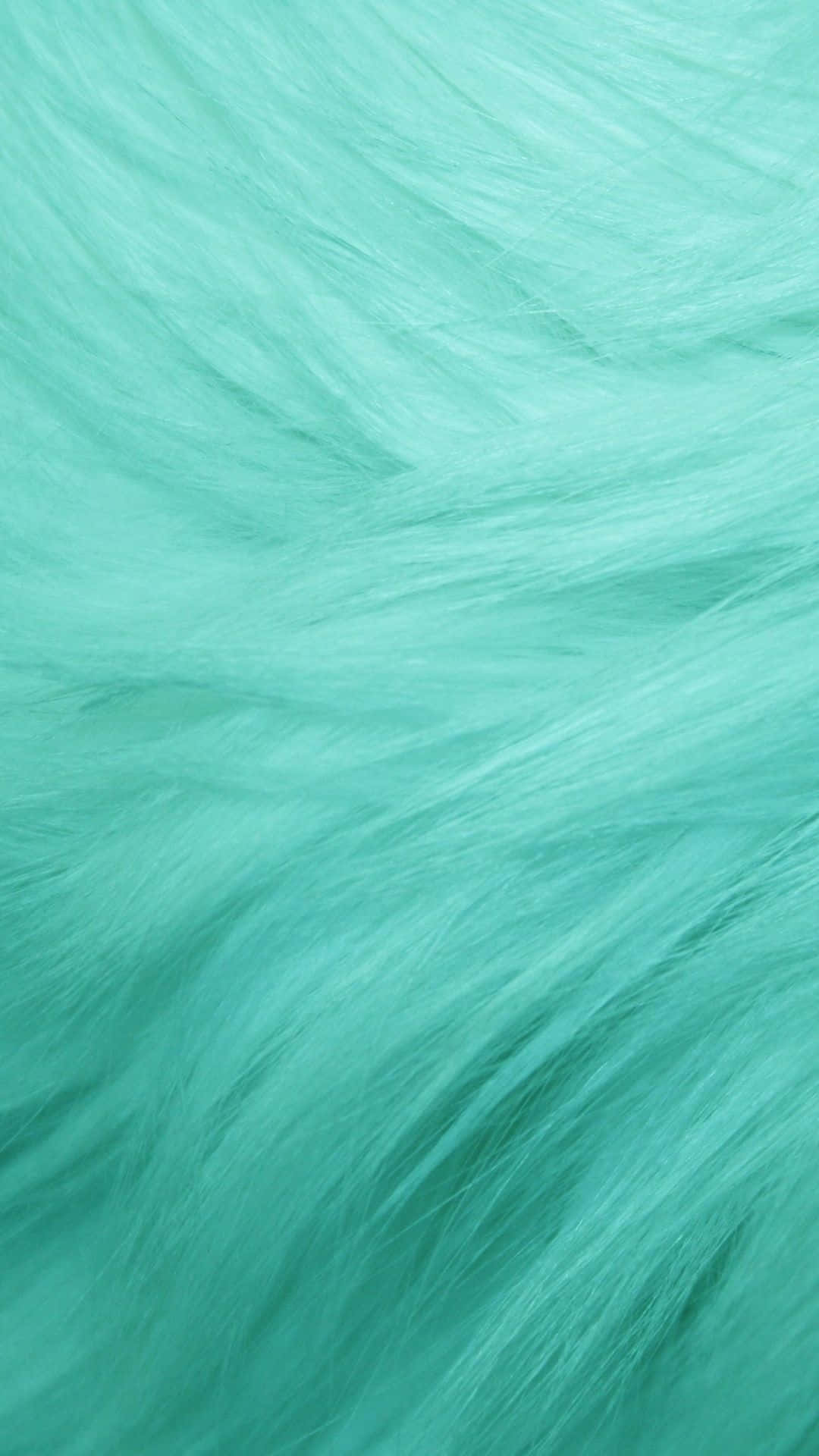 A Close Up Of A Turquoise Fur Background