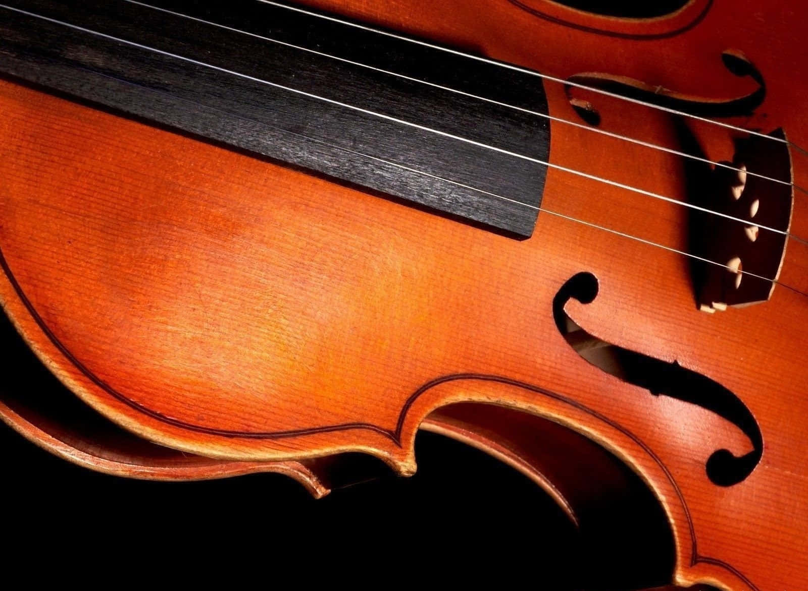 A Close Up Of A Violin On A Black Background