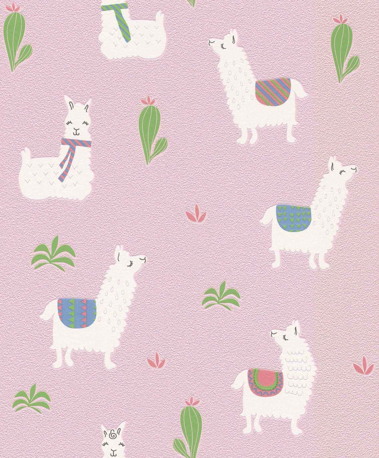 A Close-up Of An Adorable Llama Background