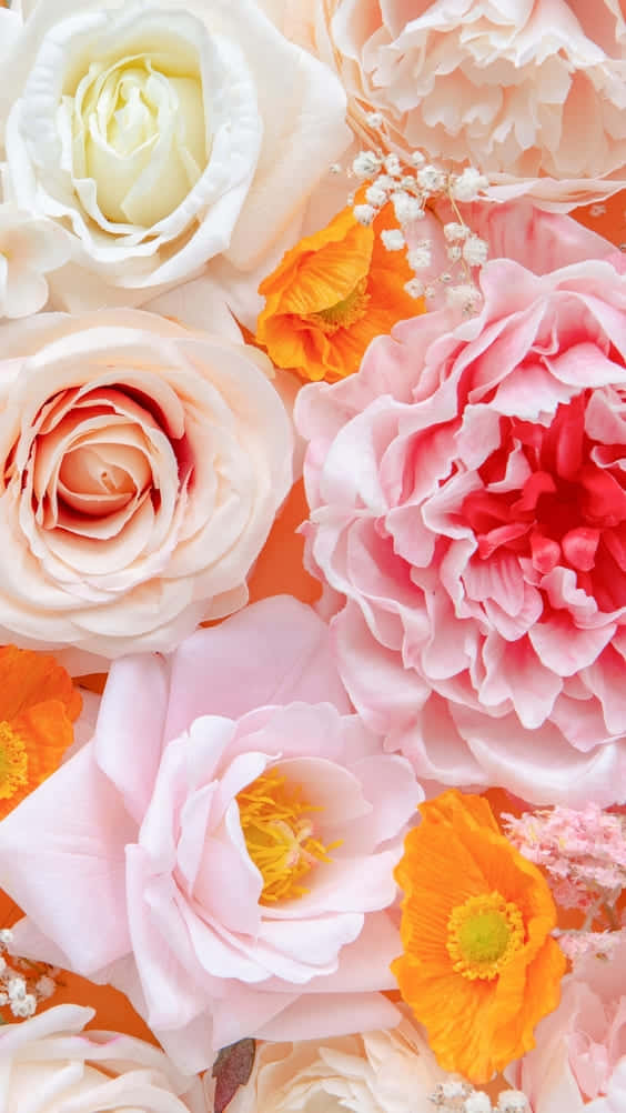A Close Up Of Many Flowers On An Orange Background Background