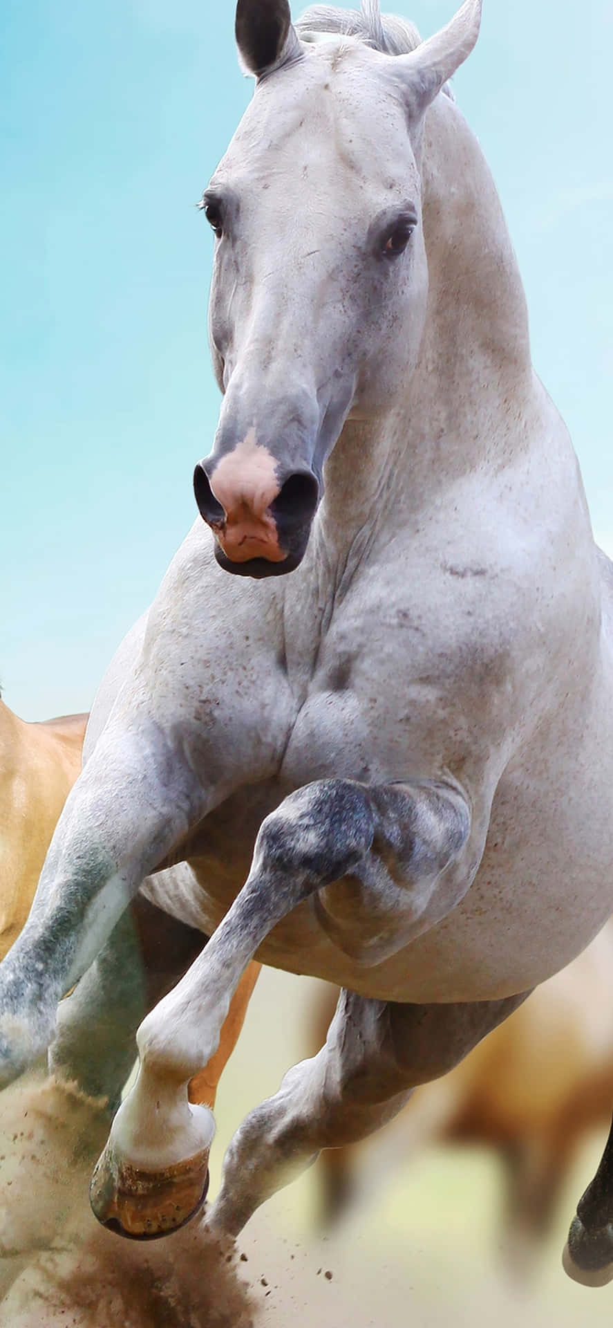 A Close-up Photo Of An Exotic Animal On An Iphone Background