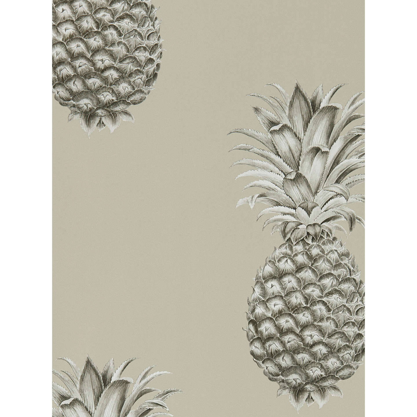 A Close-up Shot Of A Ripe Pineapple Sending A Reminder Of A Sweeter Life Background
