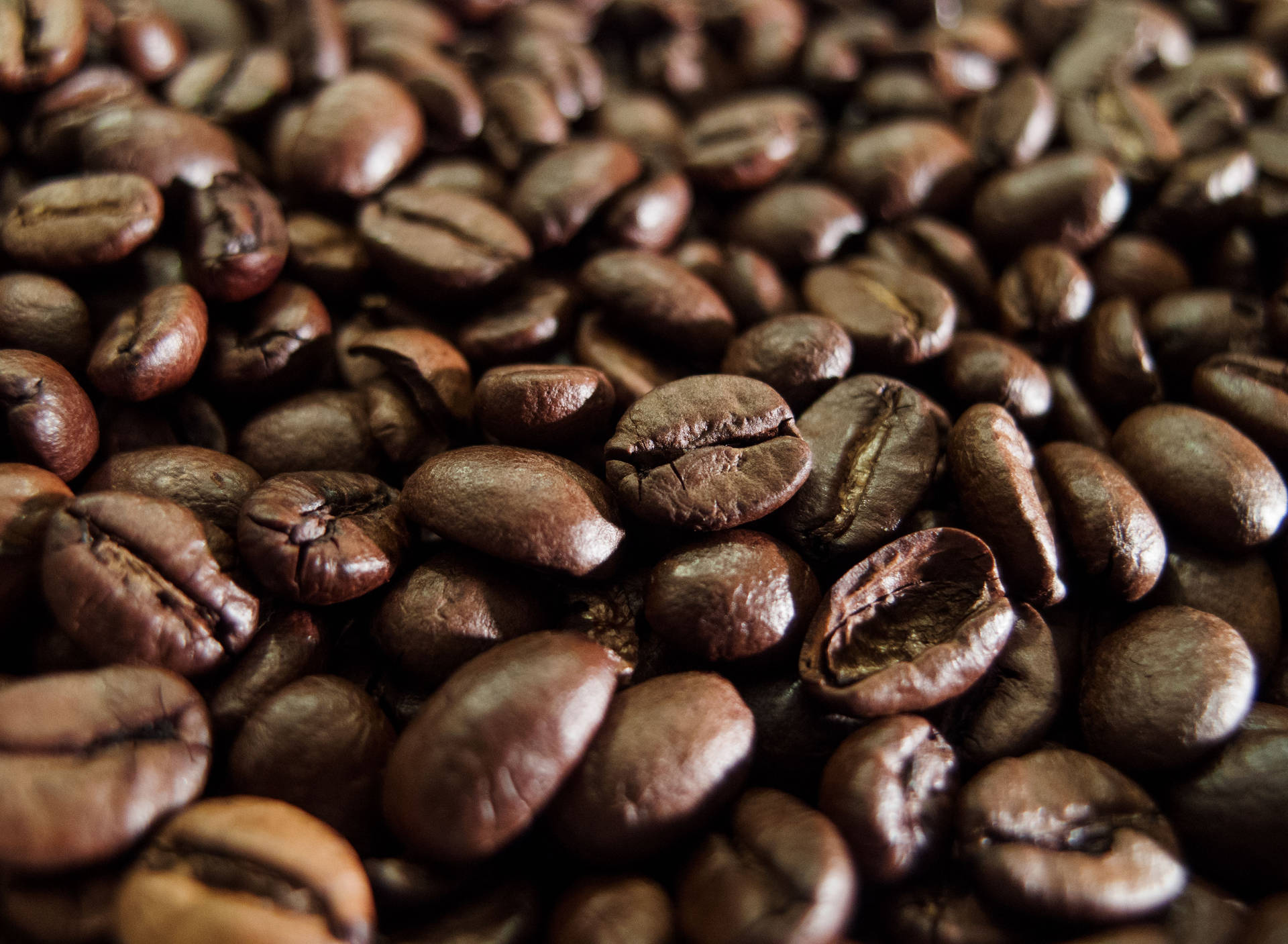 A Close-up View Of High-quality, Dark Roasted Coffee Beans