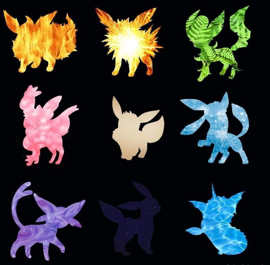 A Closer Look At The Eeveelutions – The Various Eevee Evolutions Available In The Pokémon World. Background