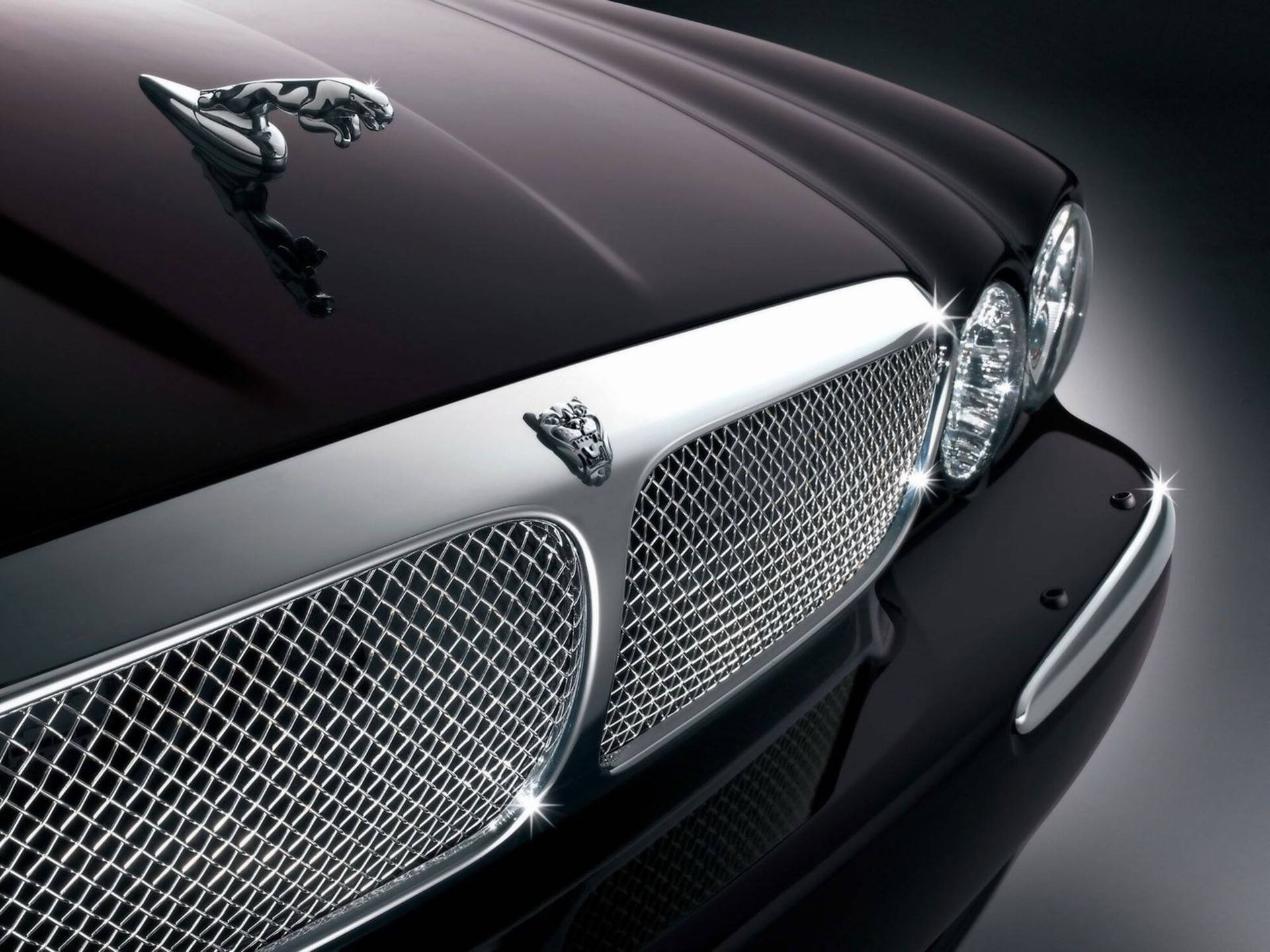 A Closer Look At The Sleek Monochrome Front Bumper Of A Jaguar Car