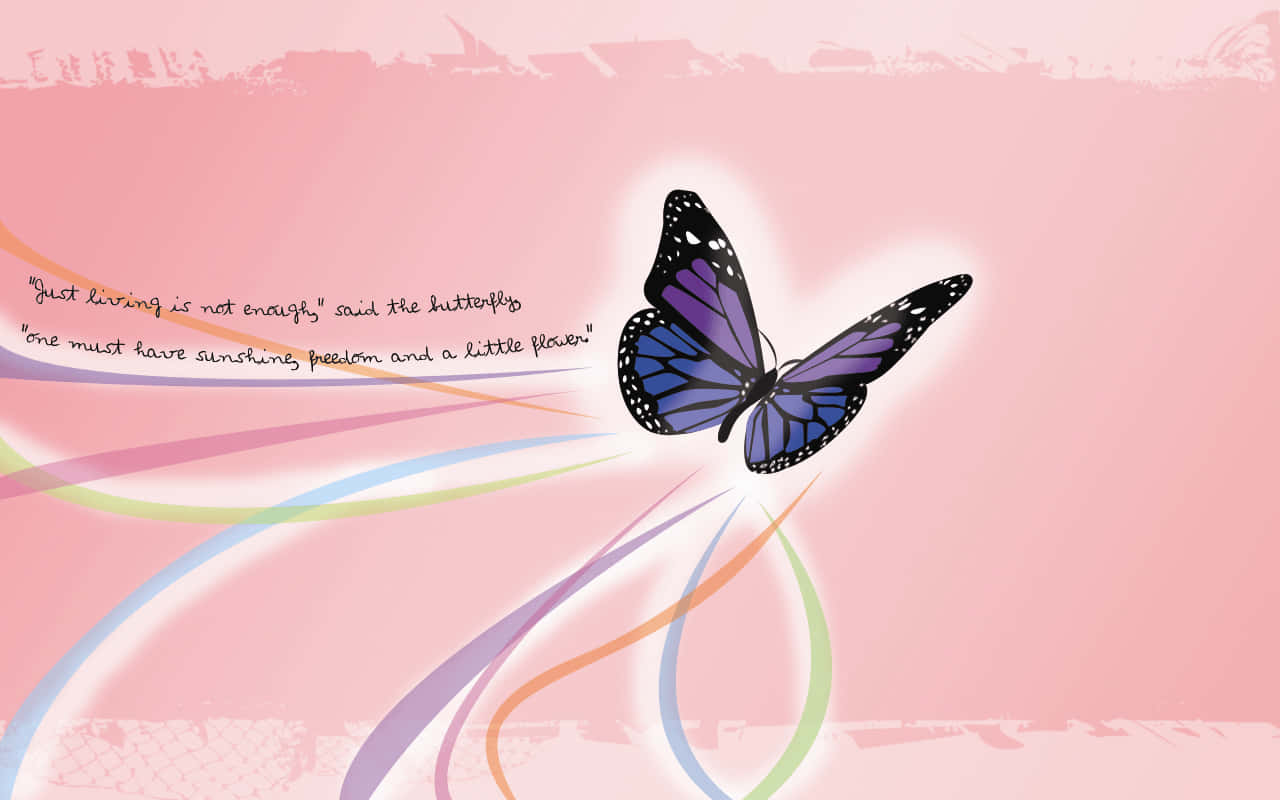 A Closeup Of A Bright And Colorful Butterfly Background