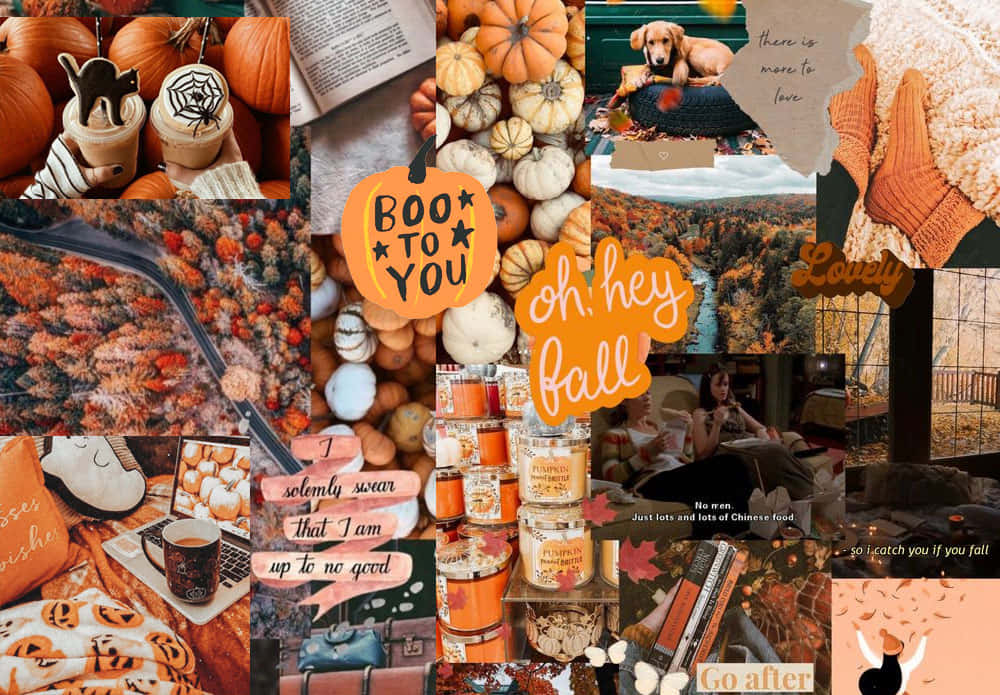 A Collage Of Autumn Items And Pictures Background