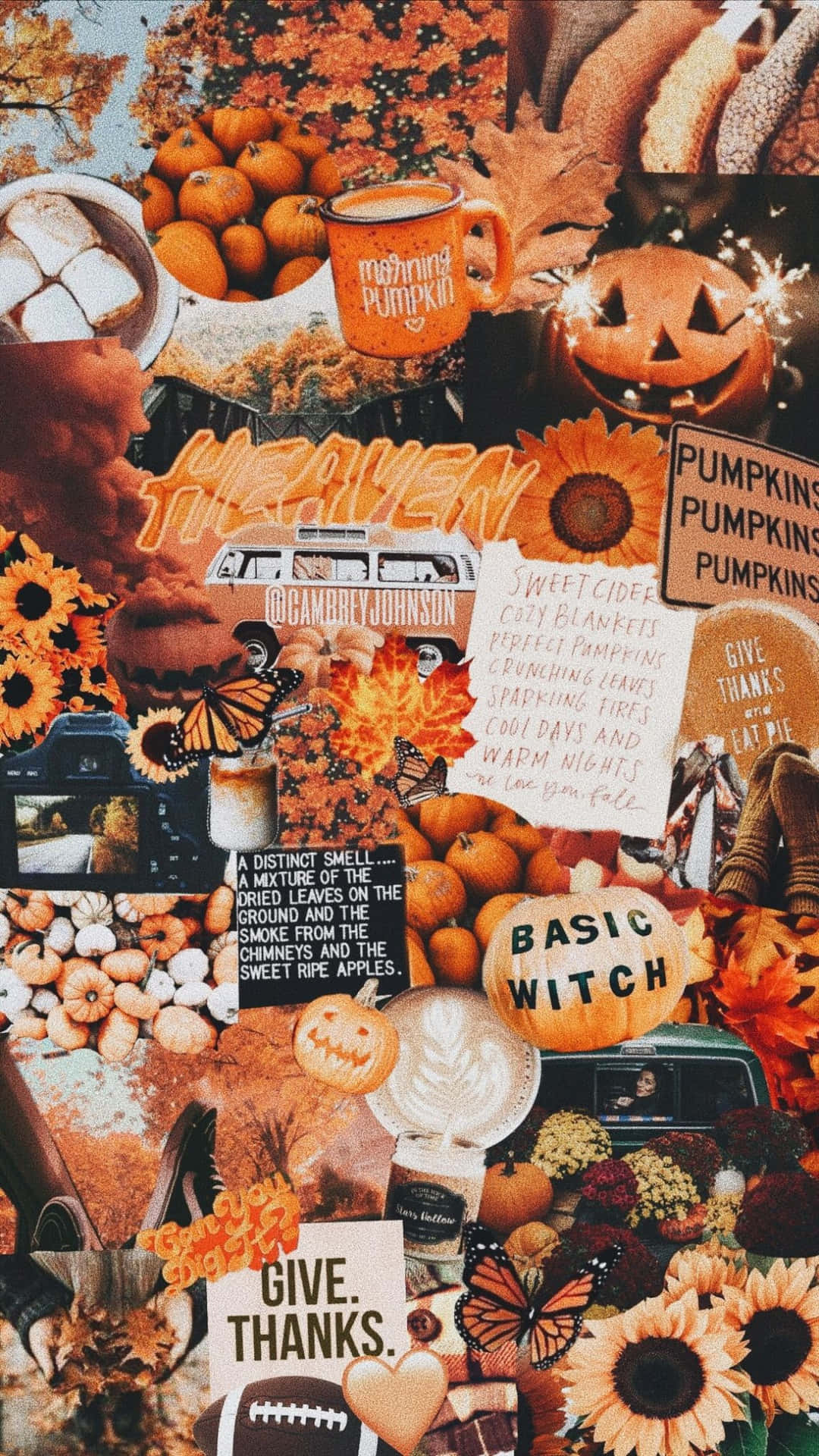 A Collage Of Autumn Leaves And Pumpkins Background