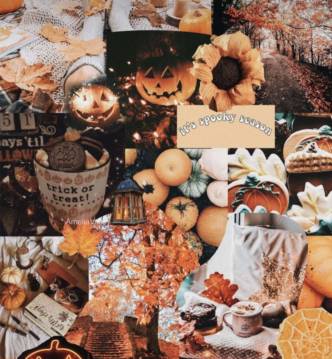 A Collage Of Autumn Pictures And Pumpkins