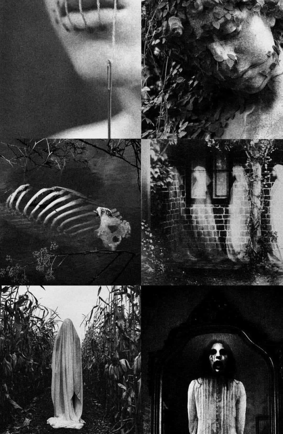 A Collage Of Black And White Photos Of A Woman With A Skeleton Background