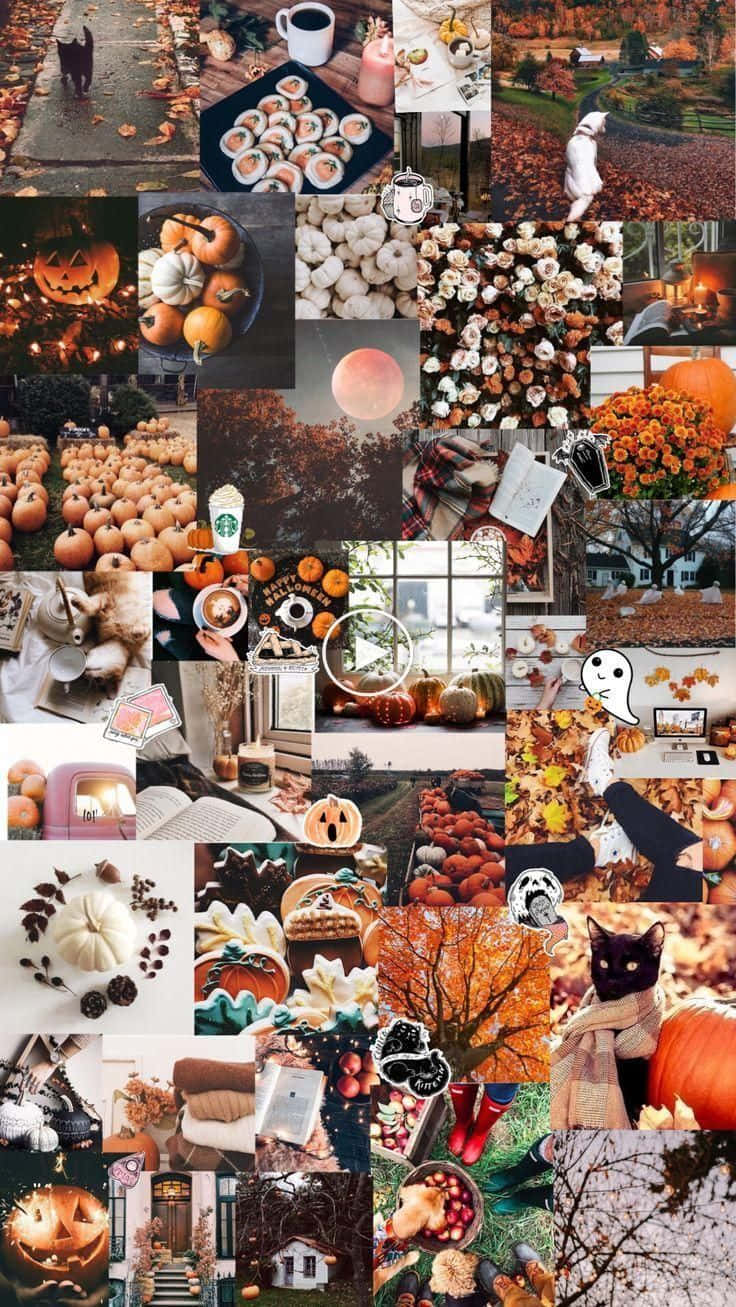 A Collage Of Fall Desktop Images Background
