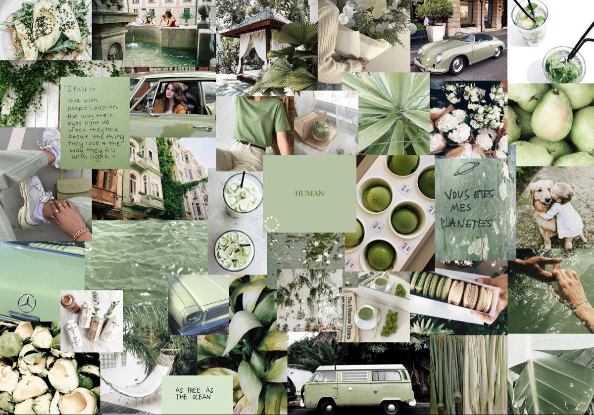 A Collage Of Green And White Photos