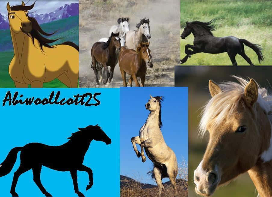 A Collage Of Horses With Different Colors Background