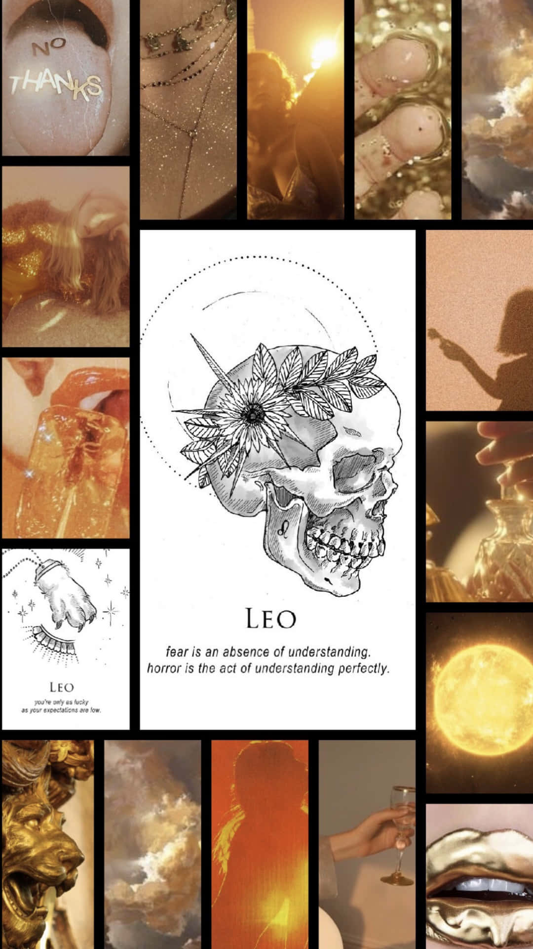 A Collage Of Images With The Word Leo Background