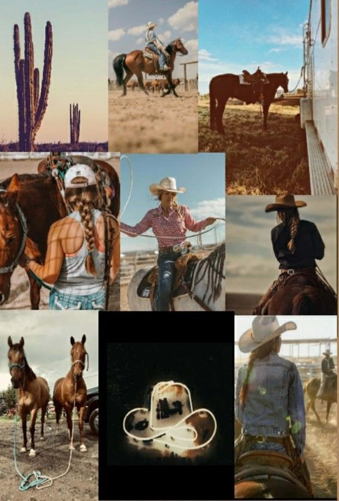 A Collage Of Majestic Horses Background
