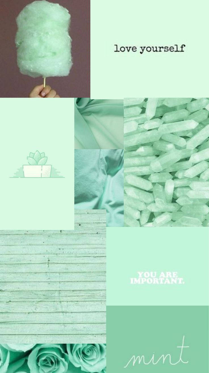 A Collage Of Mint Green And Pink