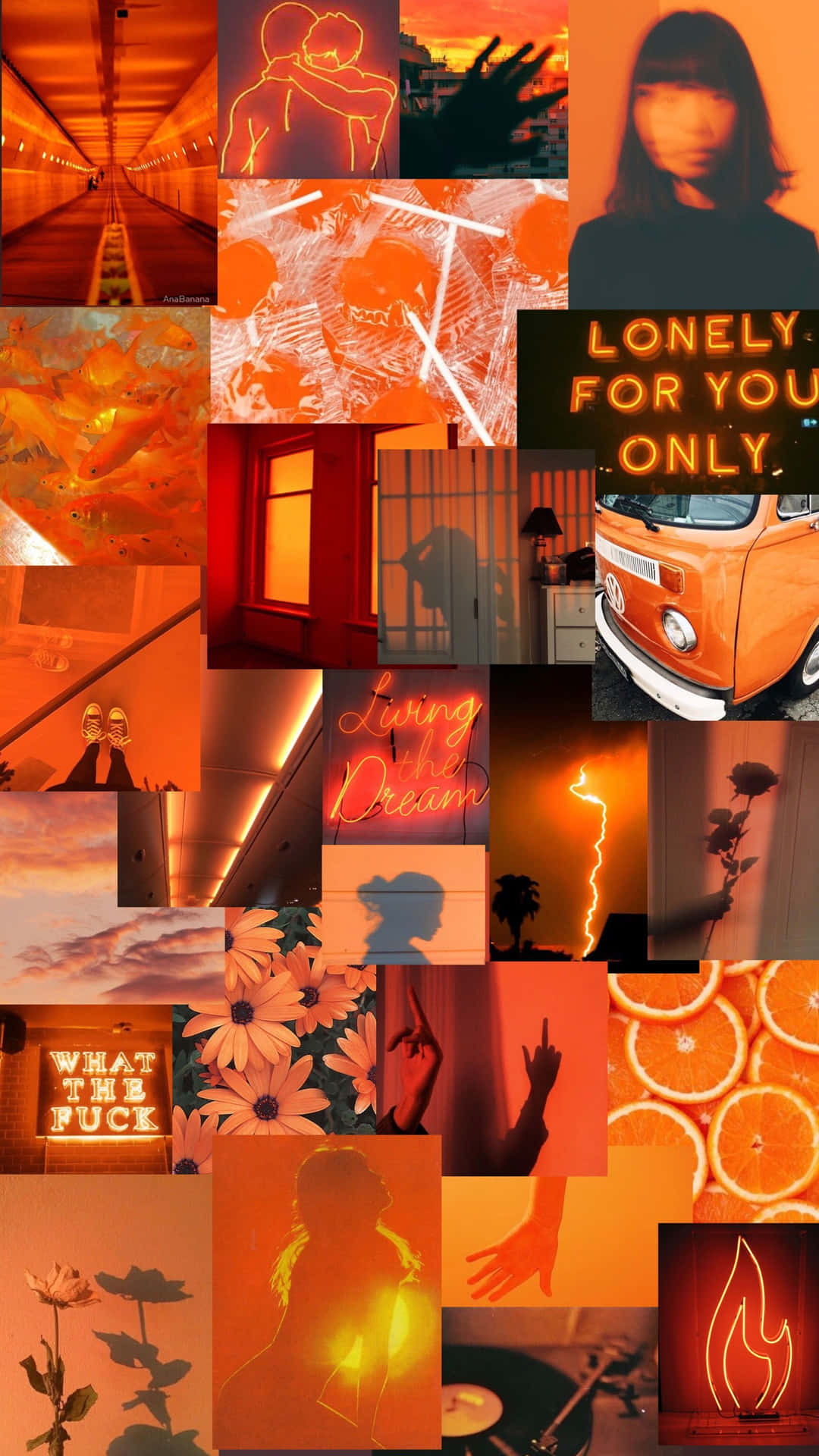 A Collage Of Orange Photos With The Words Lonely For You Background