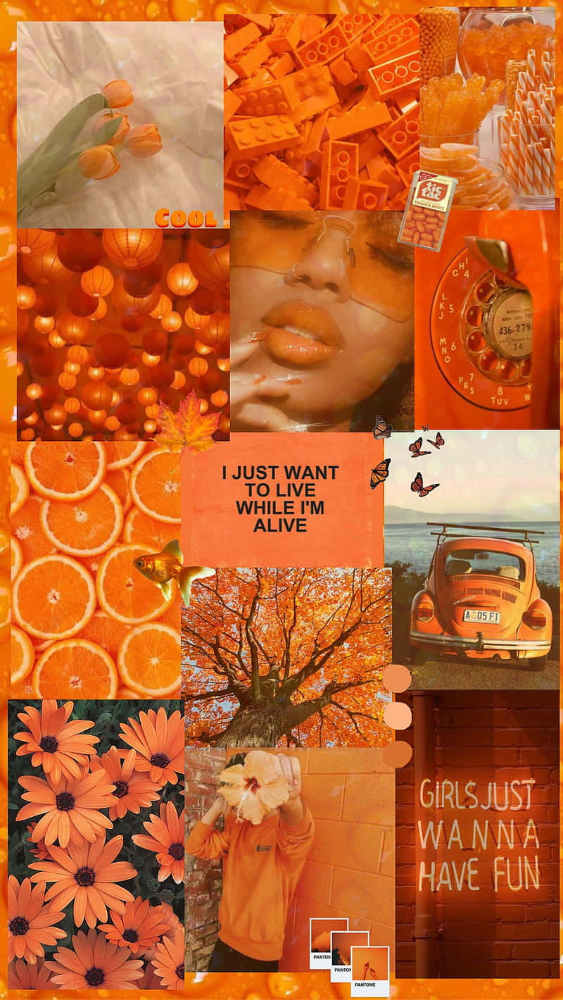 A Collage Of Orange Pictures And Photos Background