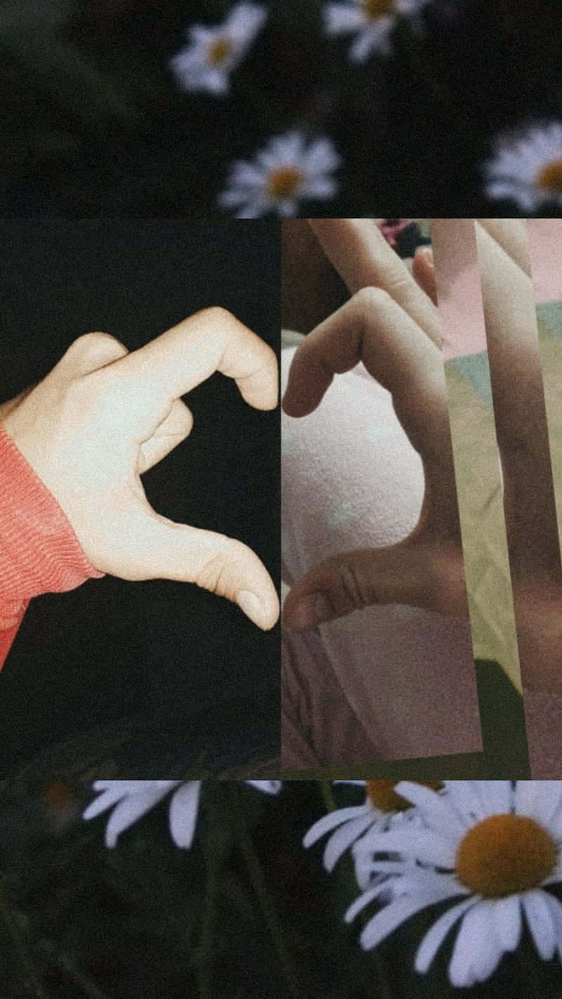A Collage Of Photos Of Hands Making A Heart With Daisies Background