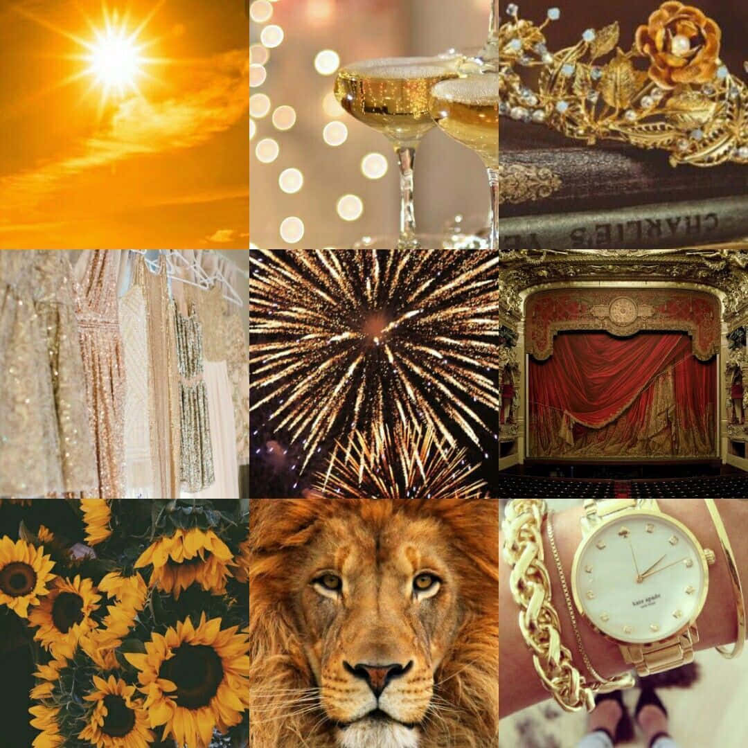 A Collage Of Photos With A Lion, Sunflowers, And A Clock Background