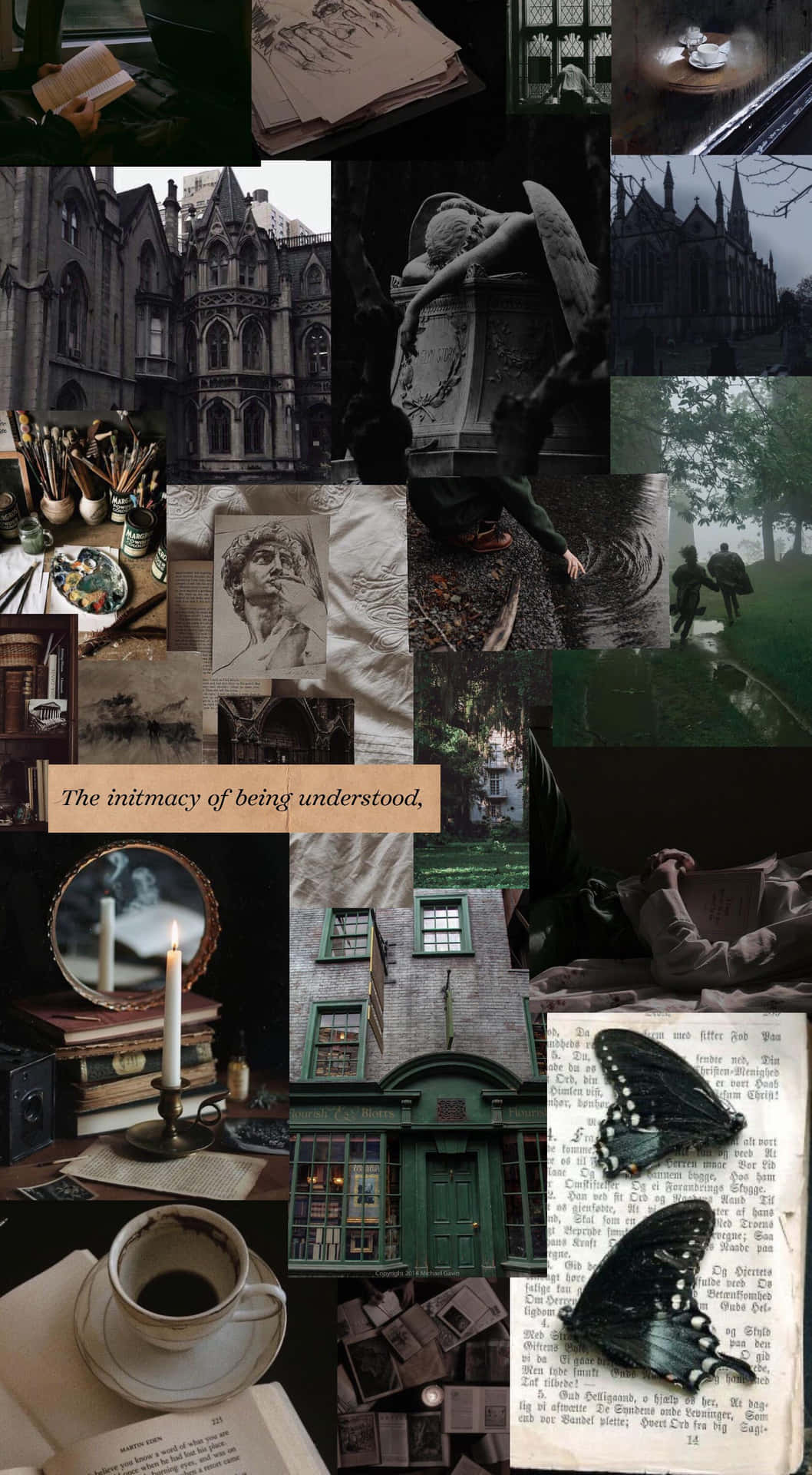 A Collage Of Pictures Of Books, Butterflies And Butterflies Background