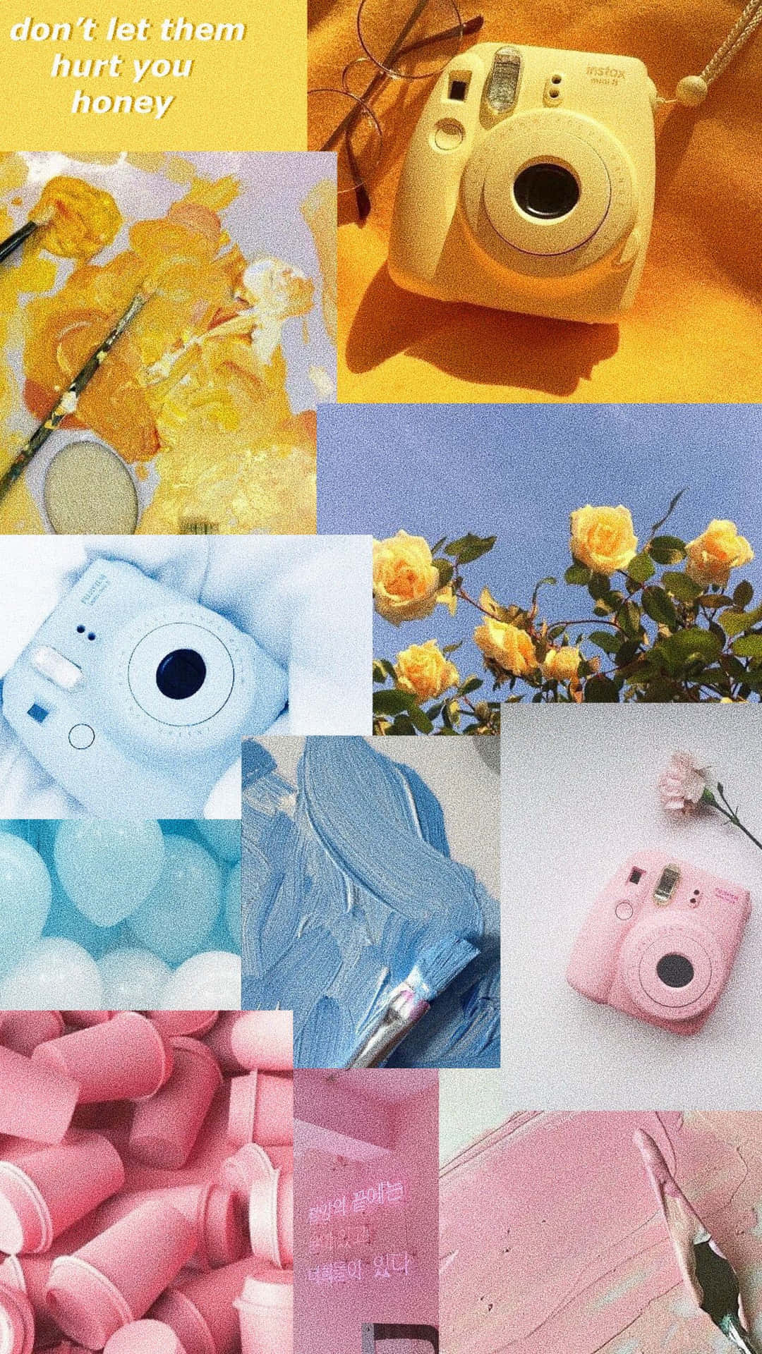 A Collage Of Pictures Of Flowers, A Camera, And A Camera Background