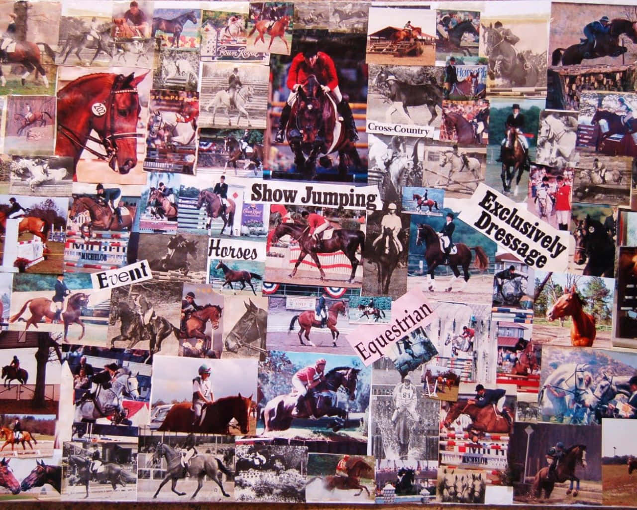 A Collage Of Pictures Of Horses Background