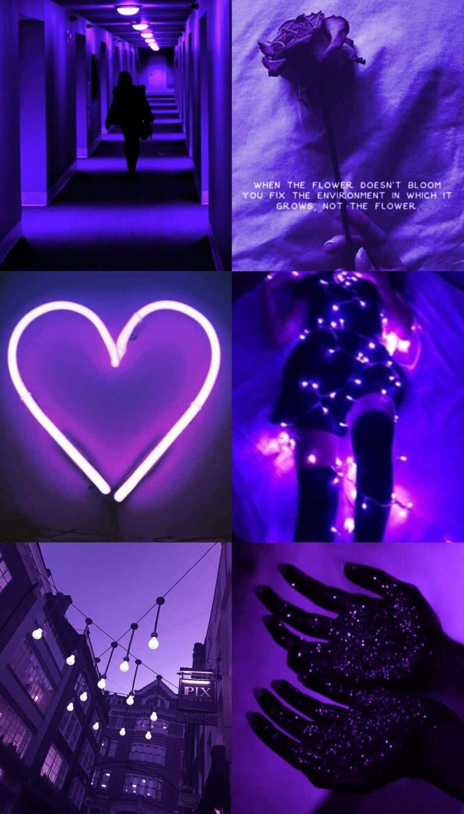 A Collage Of Pictures With Purple Lights And Hearts Background