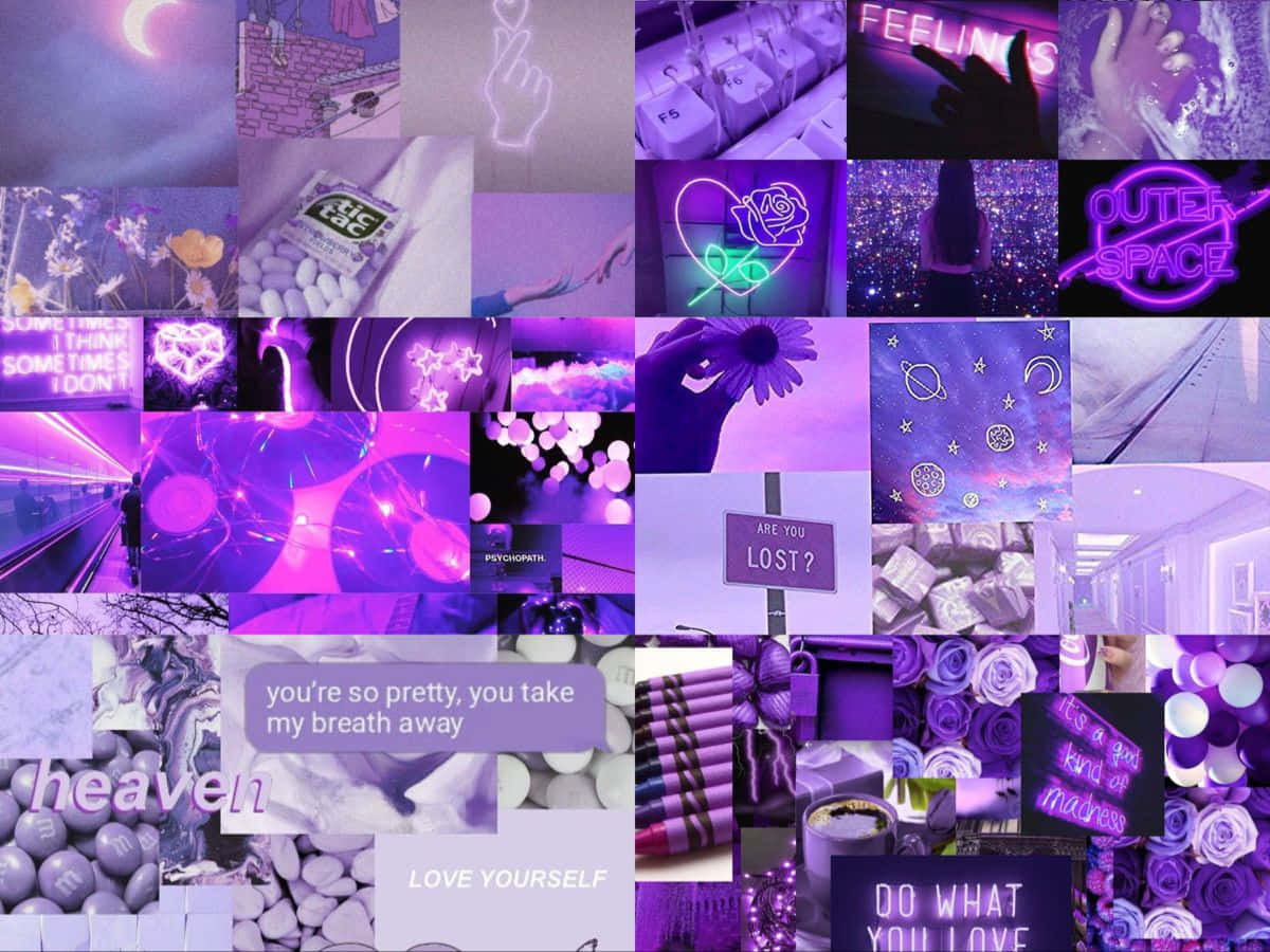 A Collage Of Purple Pictures With A Lot Of Lights Background