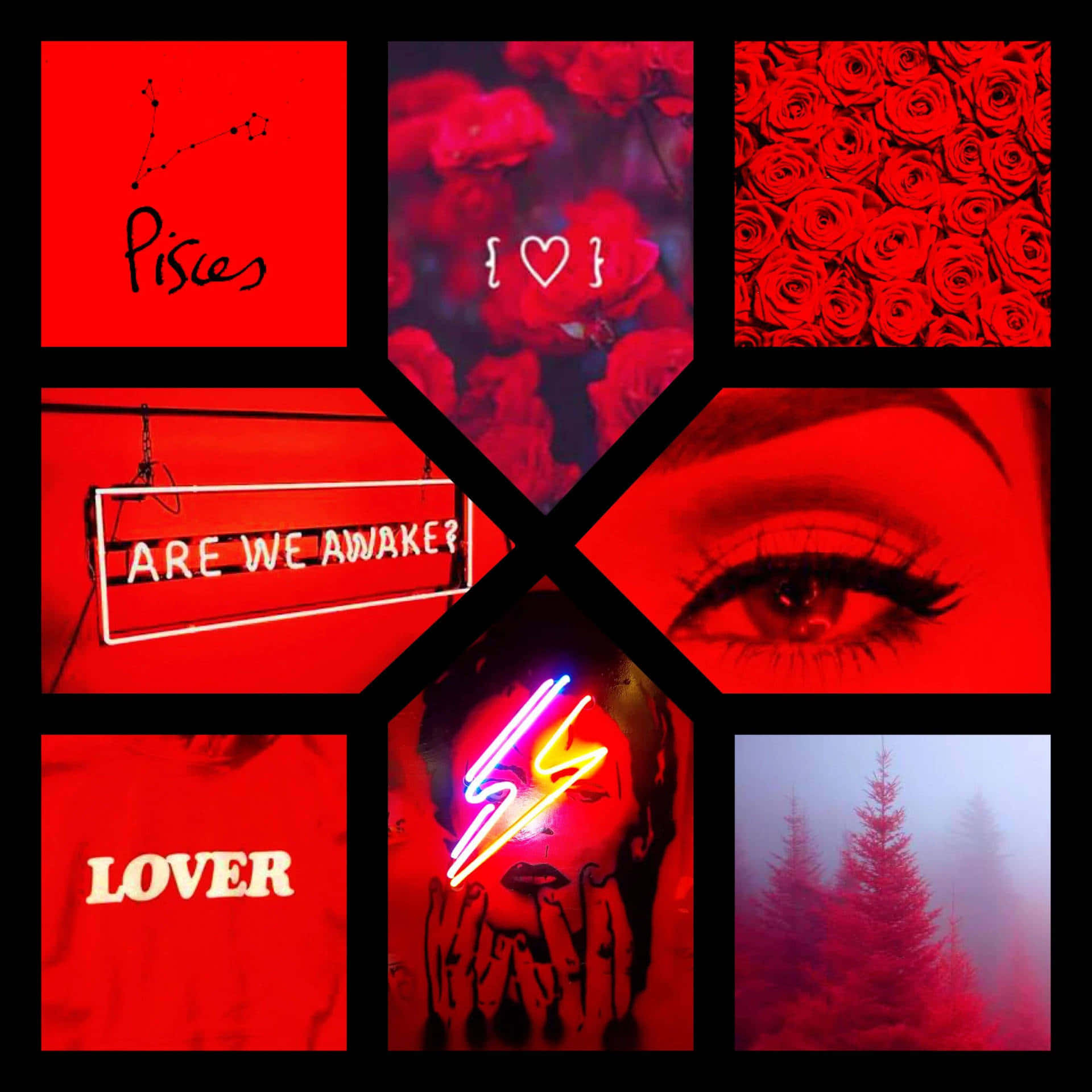 A Collage Of Red Pictures With The Words Pisces Background