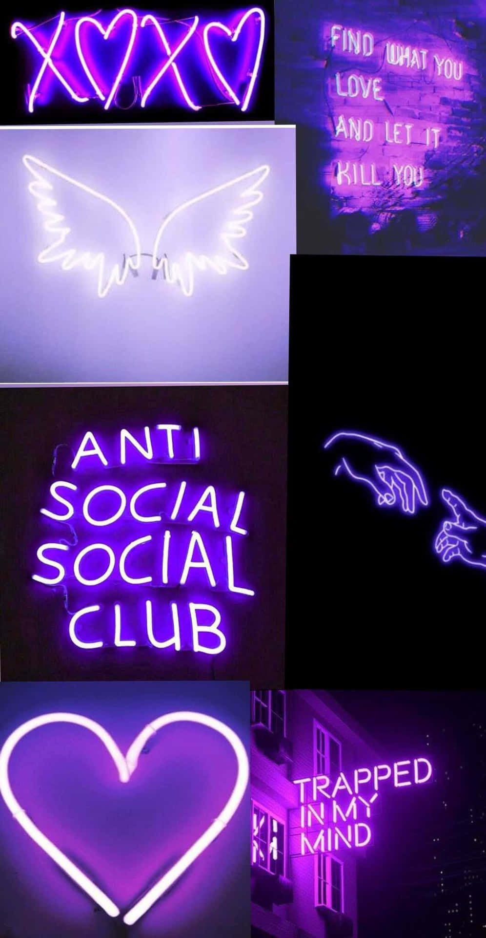 A Collection Of Neon Signs With Words Like Anti Social Club Background