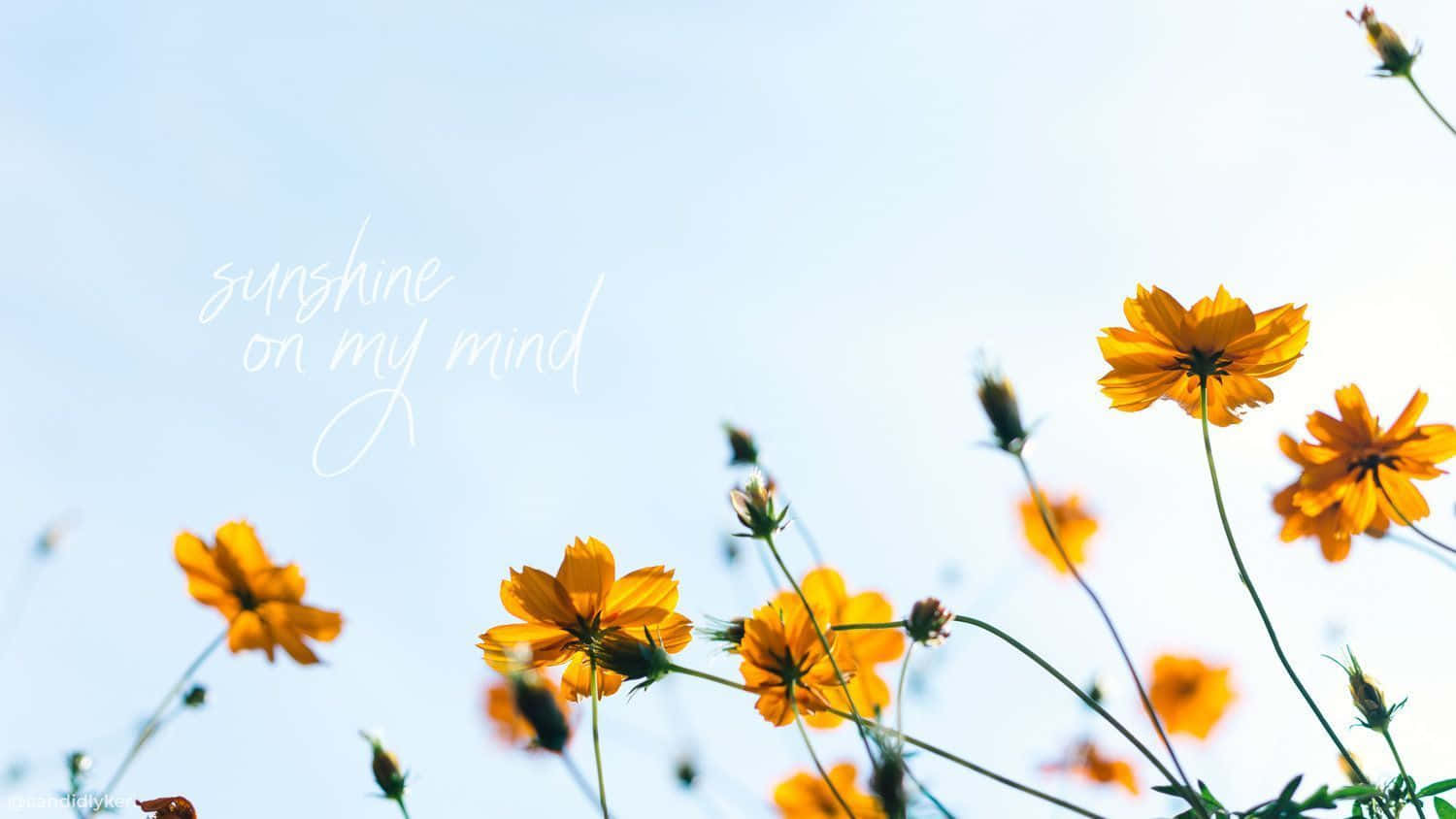 A Colorful And Bright Spring Aesthetic Desktop Background