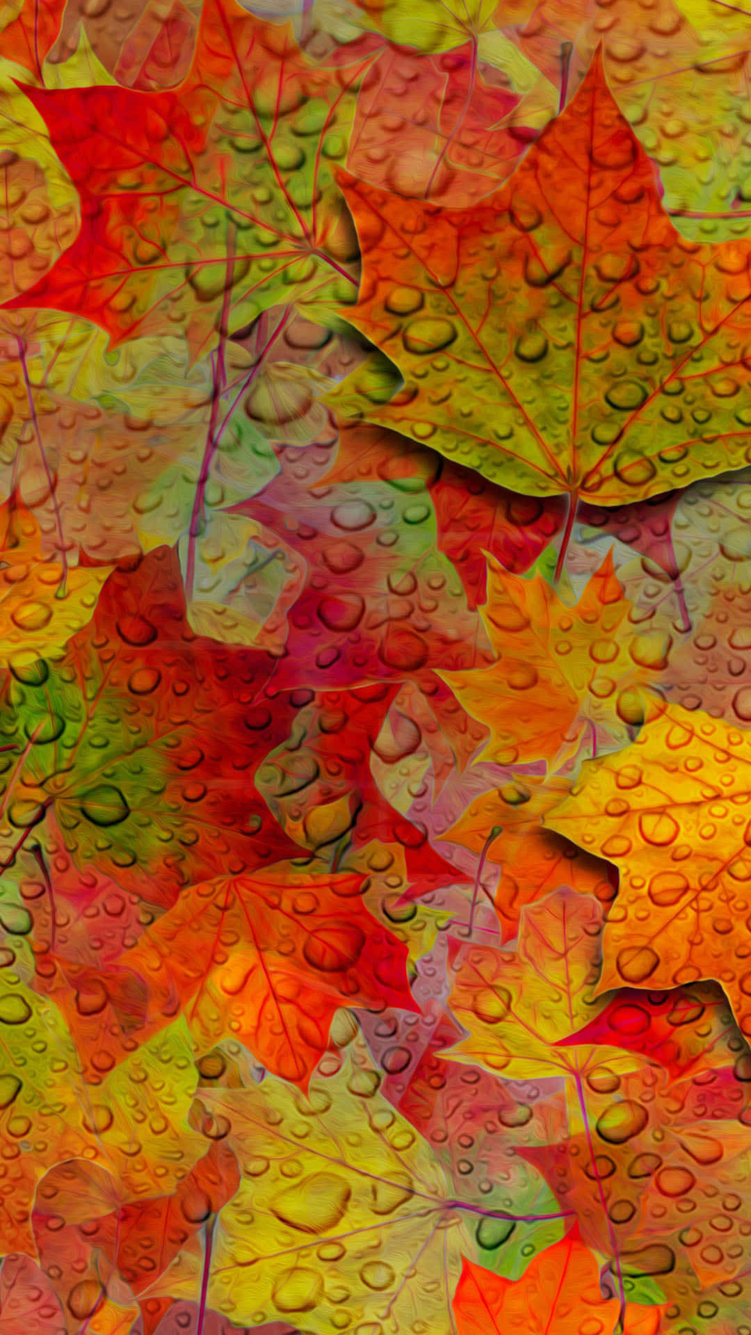 A Colorful Autumn Leaves Covered In Water Droplets