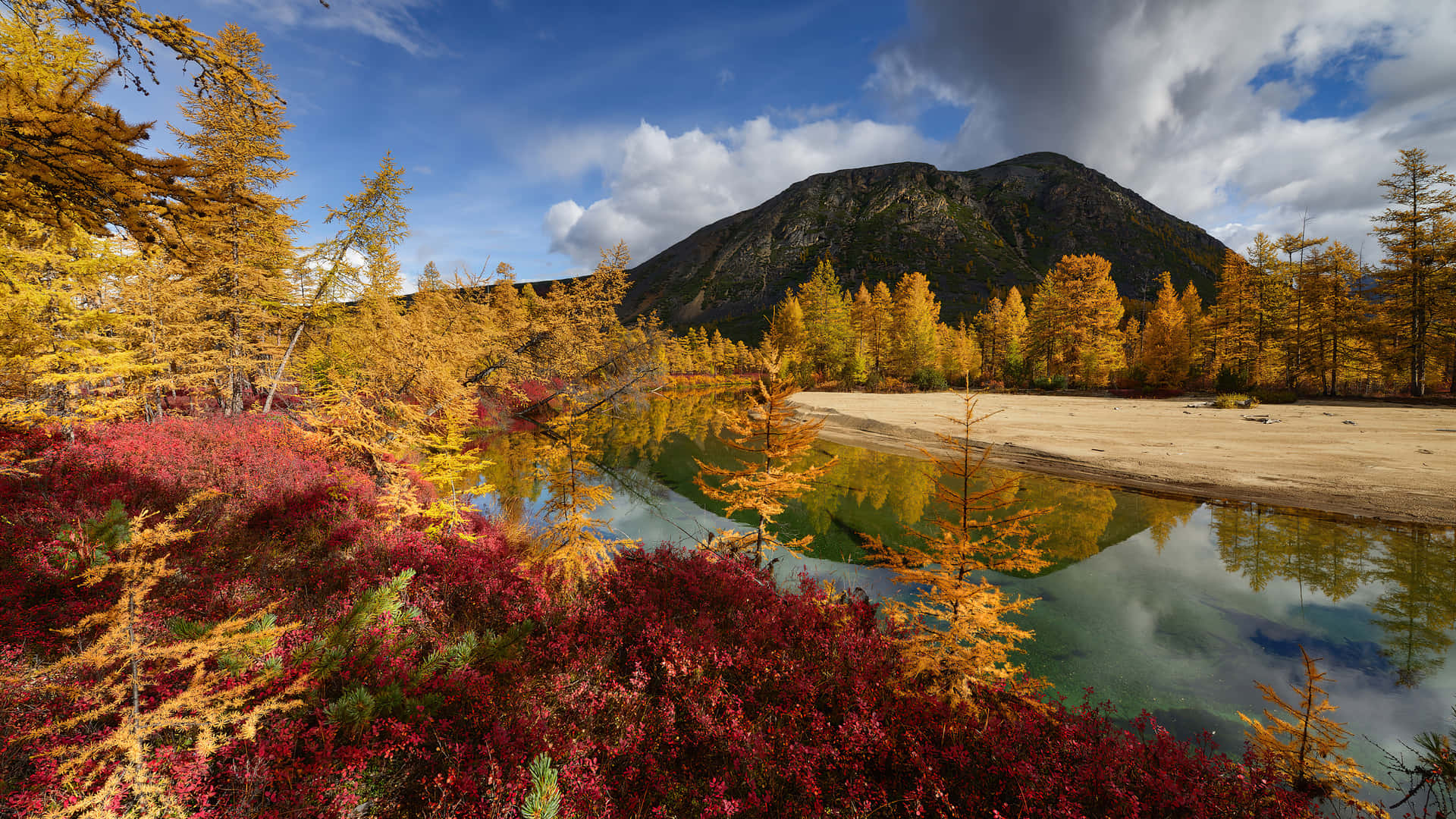 A Colorful Autumn Scene Of Trees And Fields Background