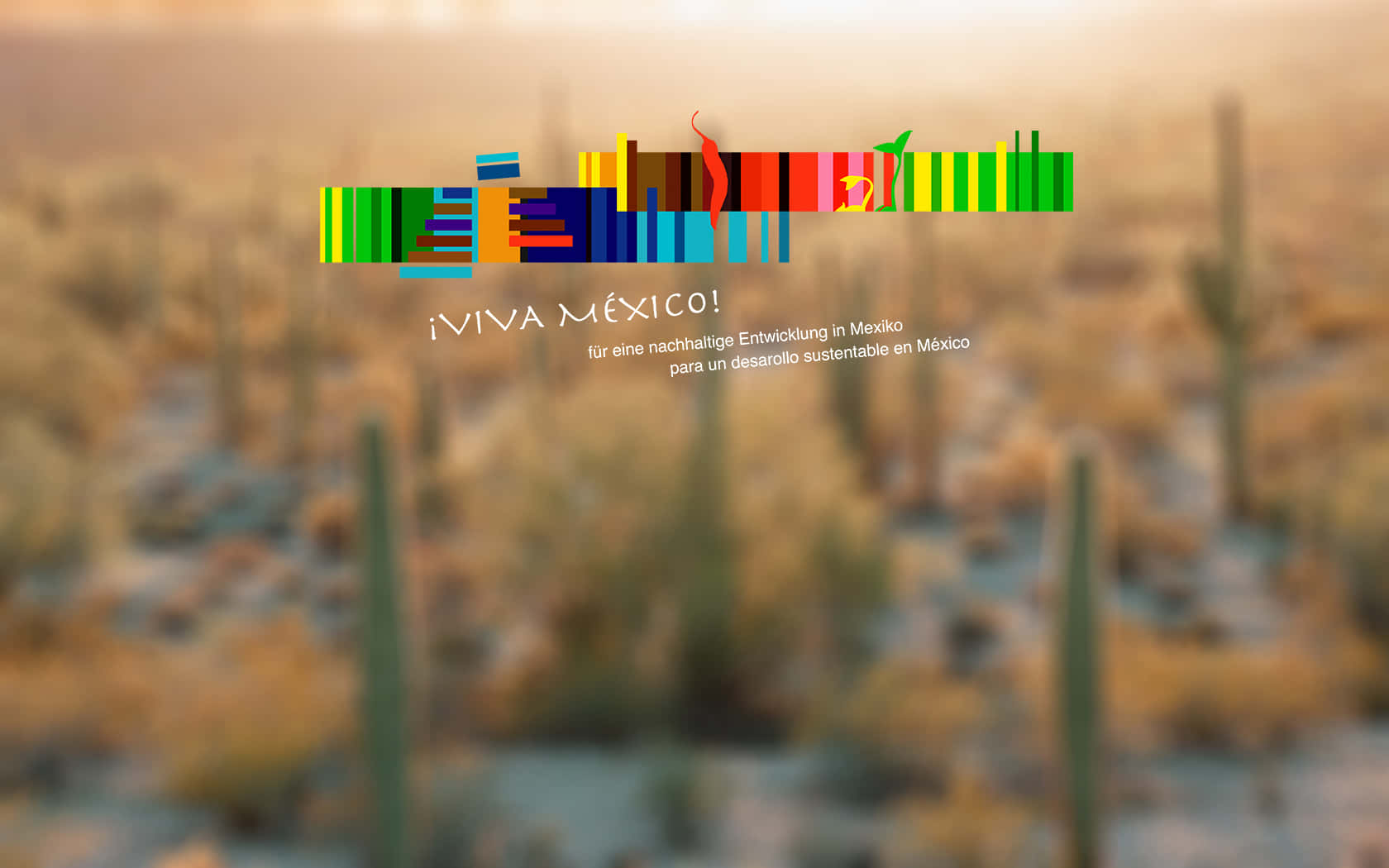 A Colorful Background With Cactus And A Sign Background
