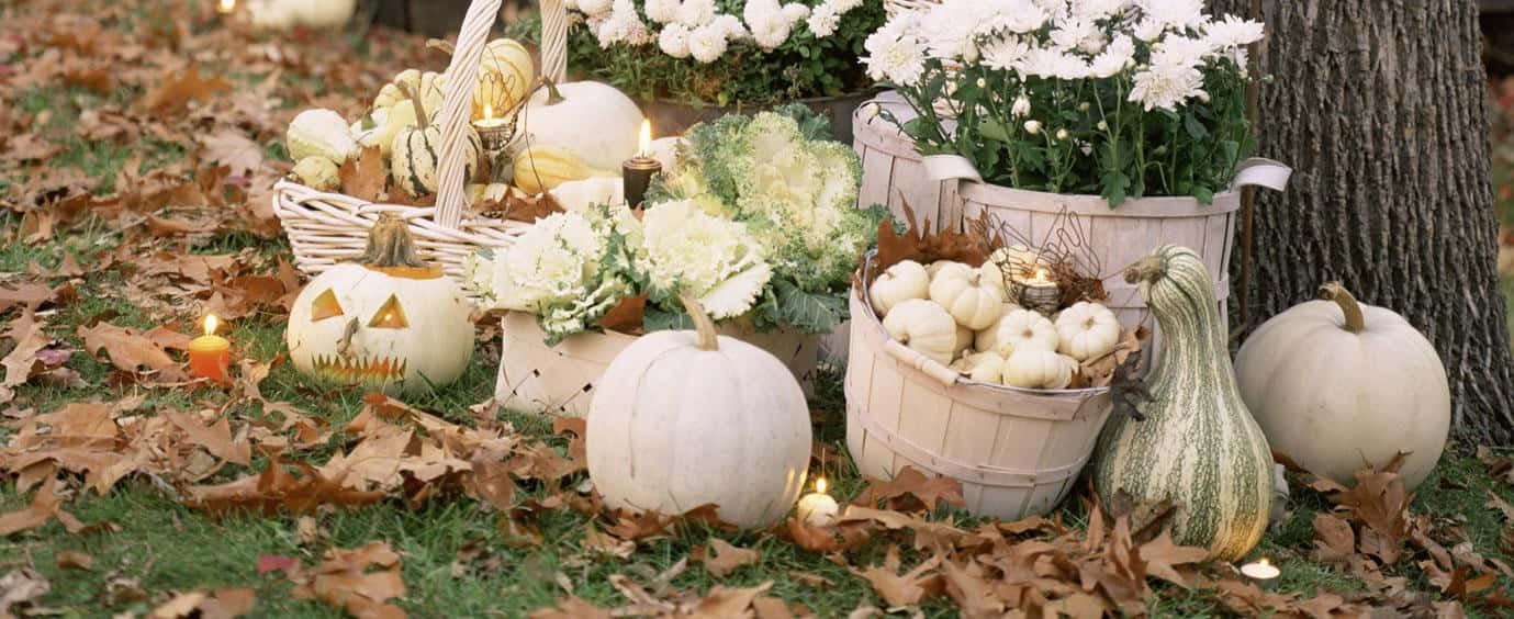 A Colorful Display Of Pumpkins During The Fall Season Background